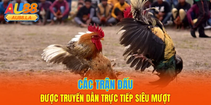 Các trận đấu được truyền dẫn trực tiếp siêu mượt