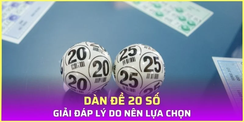 Giải đáp lý do nên lựa chọn