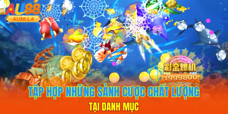 Hòa mình vào phòng chơi với mức thưởng cao tại DB