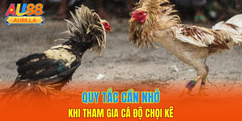 Quy tắc cần nhớ khi tham gia cá độ chọi kê