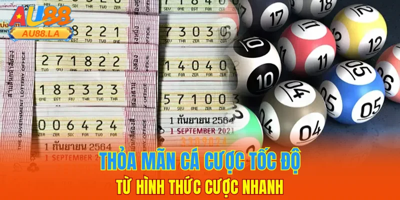 Thỏa mãn cá cược tốc độ từ hình thức cược nhanh
